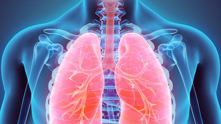 Respiratory - 1 Live Review